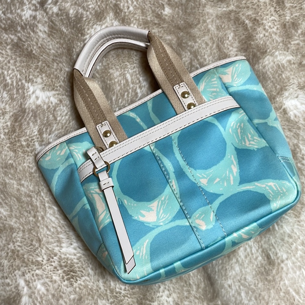 Mini Y2K Coach Purse